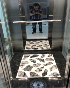 ĐÁ SÀN CABIN HỌA TIẾT HOA VĂN SỌC